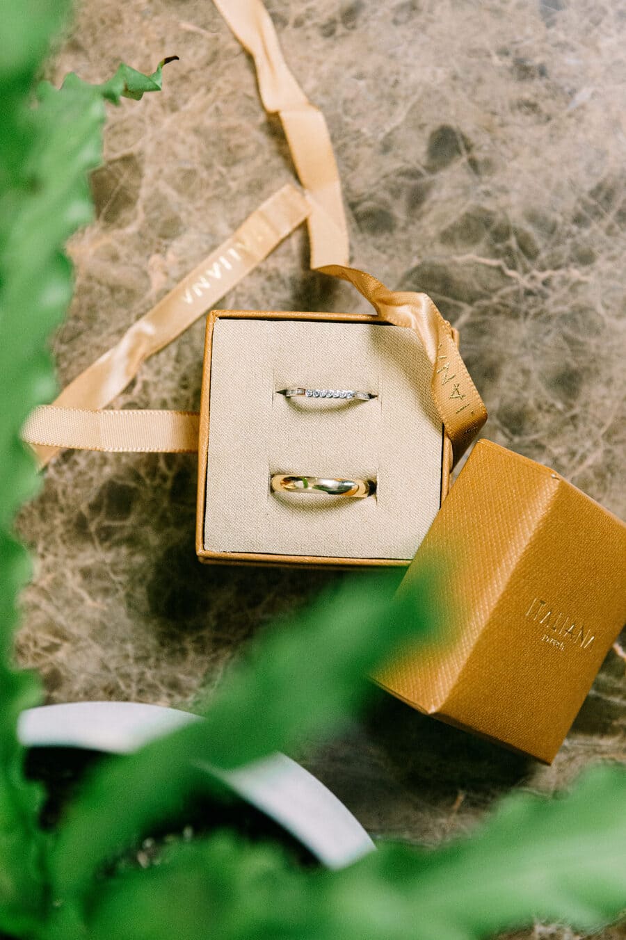 Descripción de la imagen 6